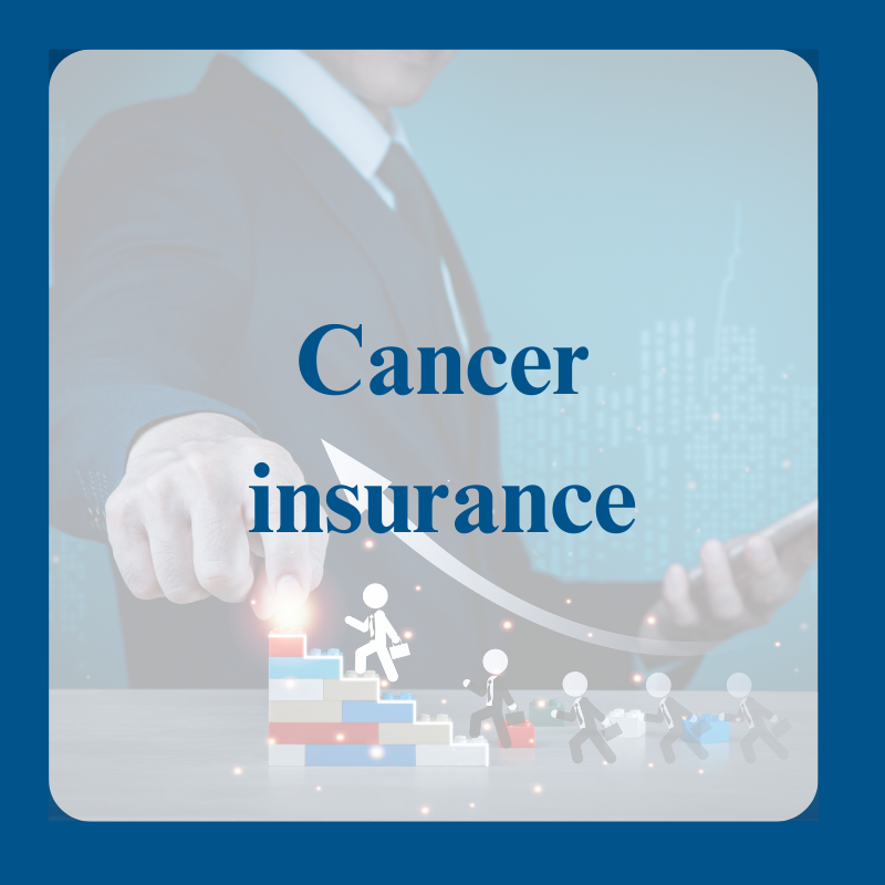 Individual Insurance Life Insurance Supplemental Health (3)