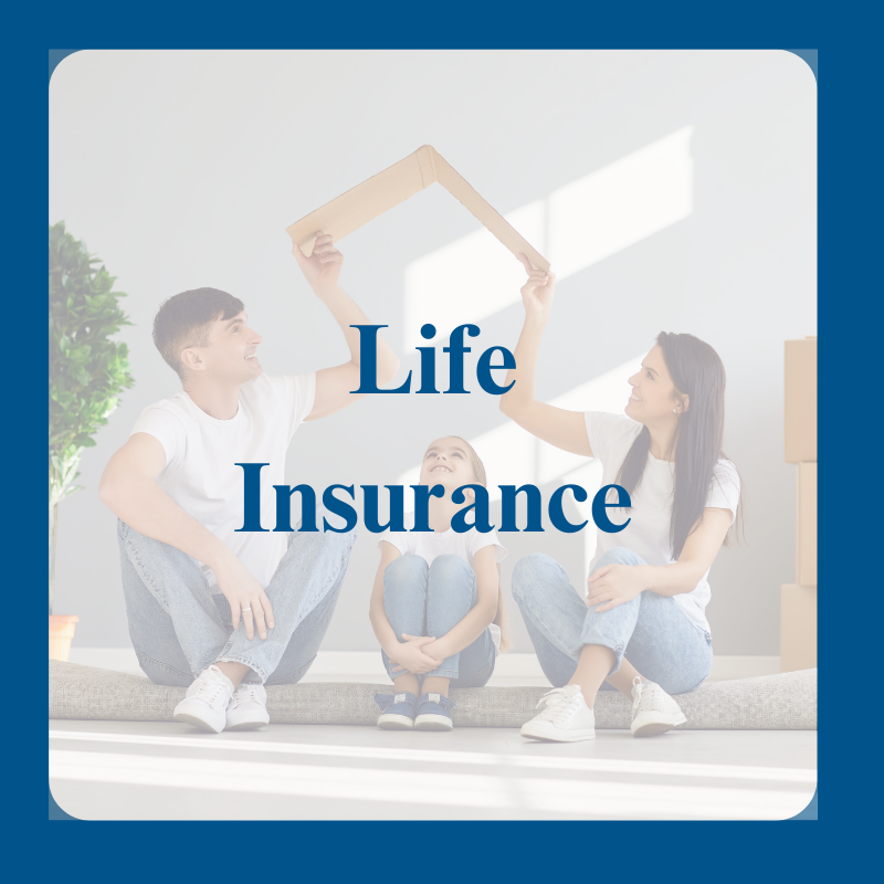 Individual Insurance Life Insurance Supplemental Health (7)